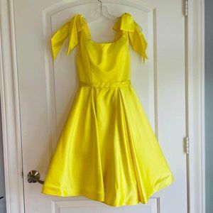 Ashley Lauren Cocktail Gown